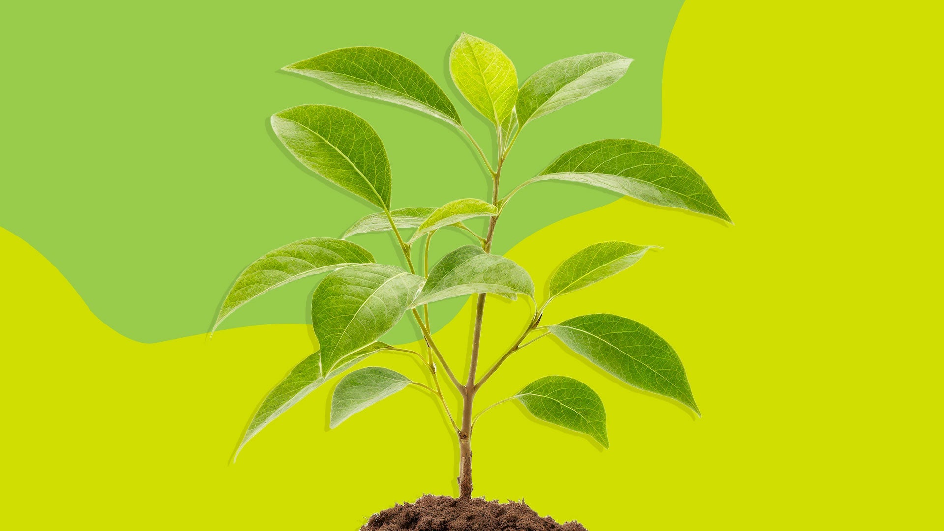 What Is a Certified B Corporation™ — and Why Should You Care?